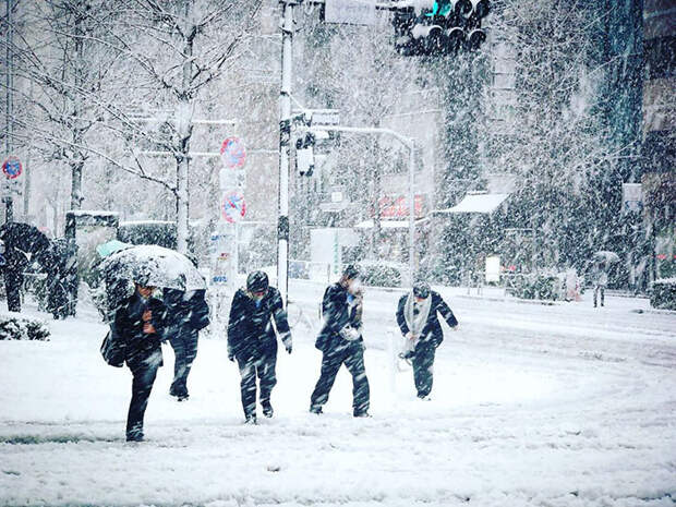 Tokyo First Snow In November 2016