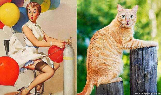 pinupcats19 Кошки и девушки в стиле пинап