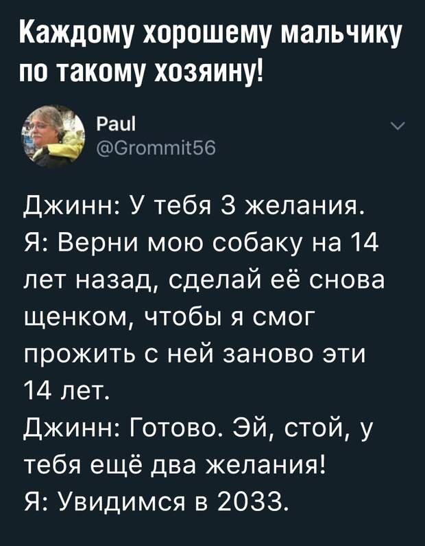 Подборка картинок. Вечерний выпуск (32 фото)