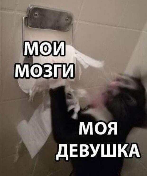 Приколы про современных девушек