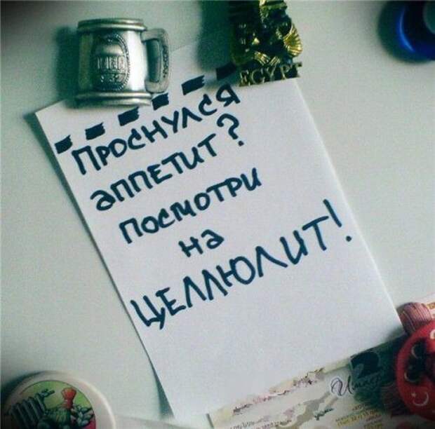 Смешные записки на холодильниках