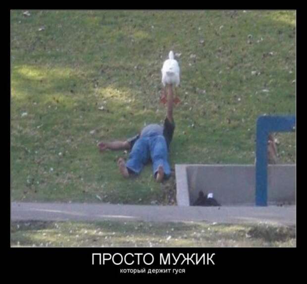 Демотиваторы №2 (30 фото)