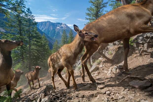 Журнал National Geographic опубликовал фотографии лауреатов премии "Лучшая фотография года - 2016" national geographic, природа, путешествия, фотография