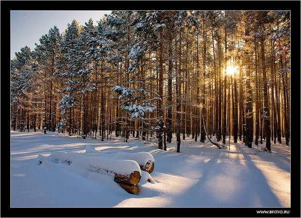 15 красивая зима (700x508, 214Kb)