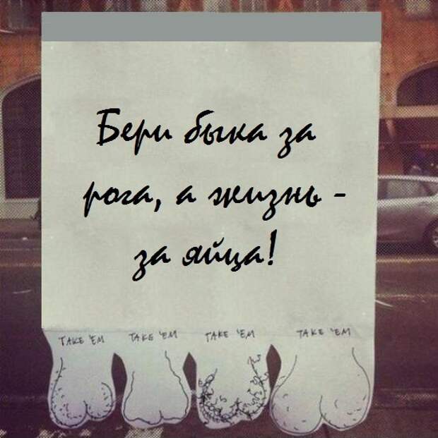 4229746_Take_Life_2a (549x550, 82Kb)