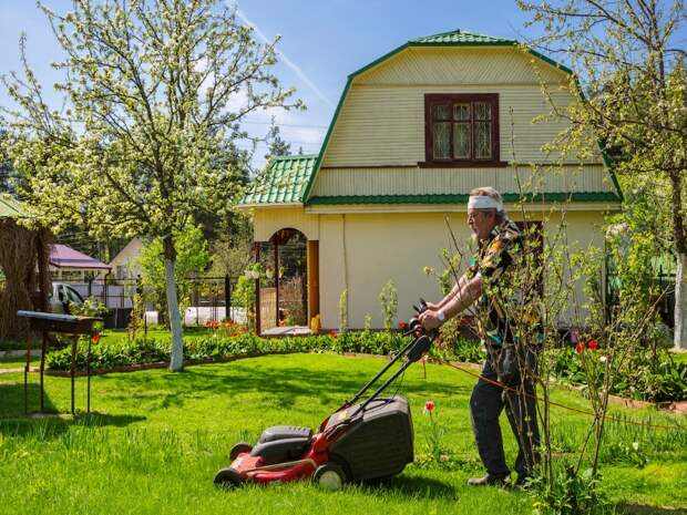 Как дачнику сделать дорожку без бетона и выгнать мышей из погреба: лайфаки, упрощающие жизнь