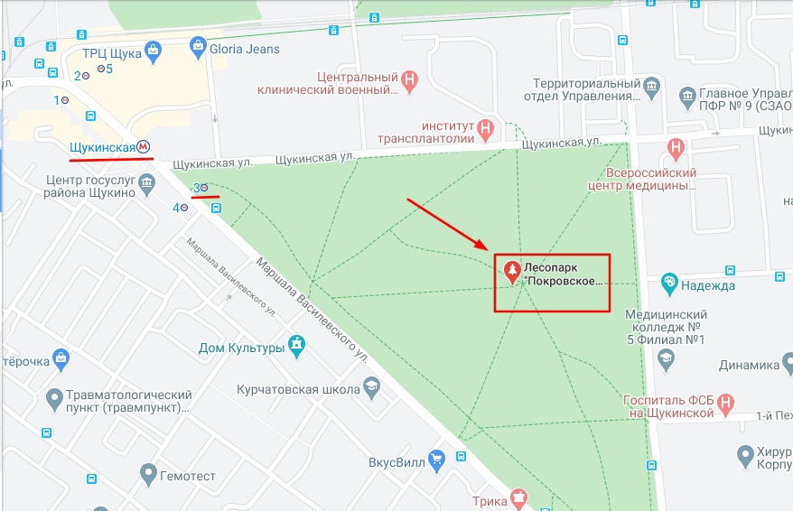Масленичные гуляния пройдут 14 марта в Щукинском парке