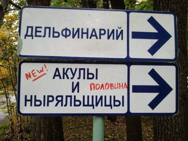 Смешные надписи (73 фото)