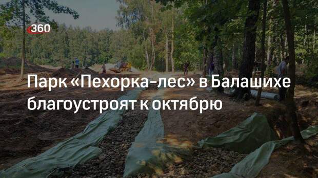 Парк «Пехорка-лес» в Балашихе благоустроят к октябрю