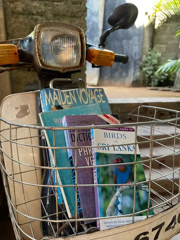 «Электричество выключают на 10-13 часов в сутки»: как сегодня живут люди на Шри-Ланке