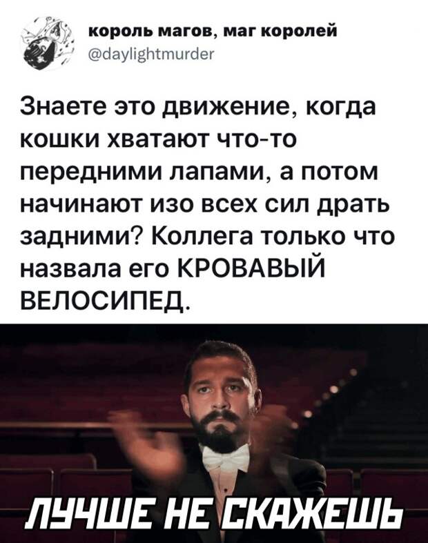 Смешные картинки 7 октября 2021 года