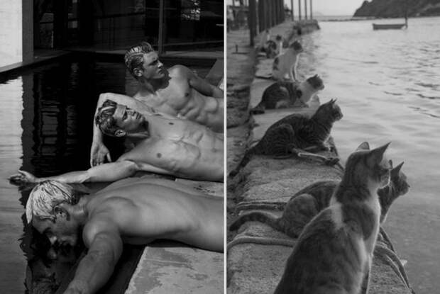 Котики и парни mencats05 Котики и парни