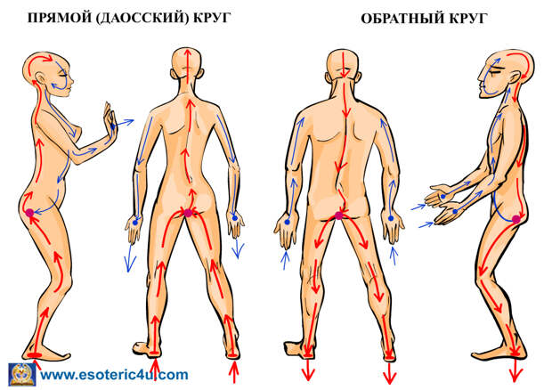 Энергетические круги, прямой и обратный круг протекания энергии