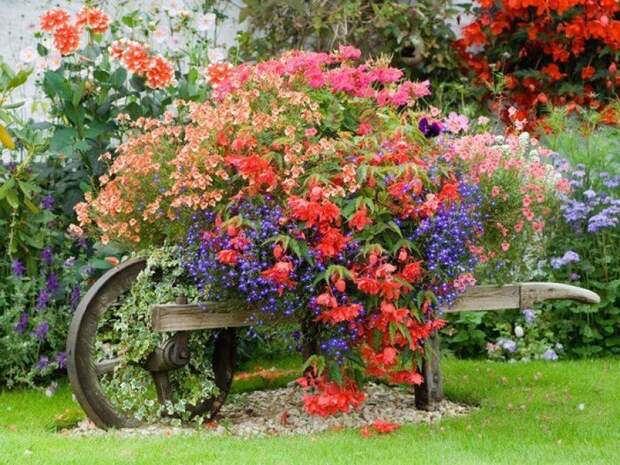 Мой зачарованный сад: вся палитра красок кантри-сада на 6 сотках