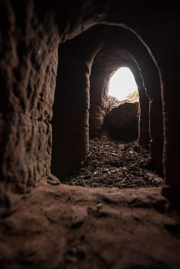 Эта кроличья нора ведёт в 700-летнюю тайную пещеру рыцарей-тамплиеров