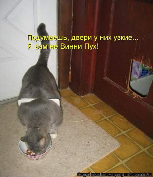Лучшие котоматрицы недели (50 фото) Лучшие котоматрицы недели (50 фото)