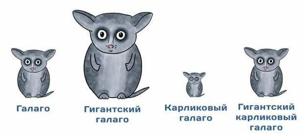 Занимательные научные факты в юмористических комиксах Занимательные научные факты в юмористических комиксах