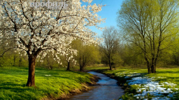 Народные приметы 2 апреля: что можно и нельзя делать в этот день
