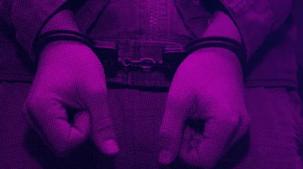 ФСБ задержала банду неонацистов, планировавших убить журналиста Владимира Соловьева