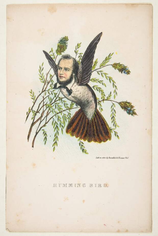 natural-history-of-the-human-race-humming-bird-768x1149.jpg natural-history-of-the-human-race-humming-bird-768x1149.jpg