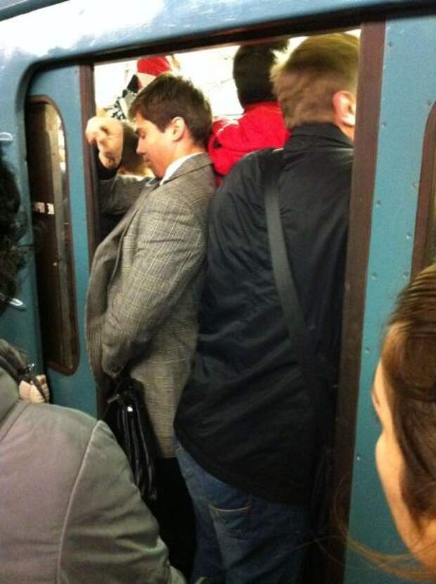 Прикольные картинки