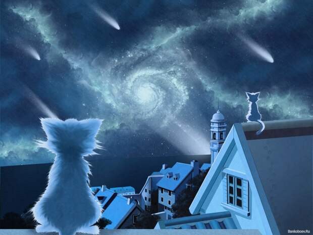 Картинки по запросу рисунки небо красота загадочные коты