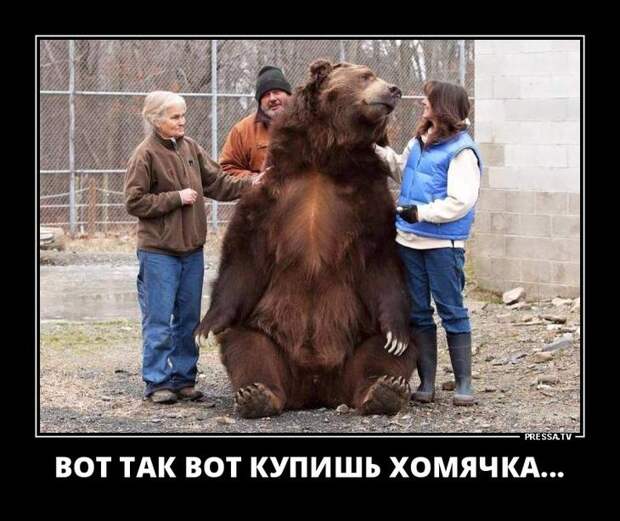 Новые веселые и задорные демотиваторы Новые веселые и задорные демотиваторы
