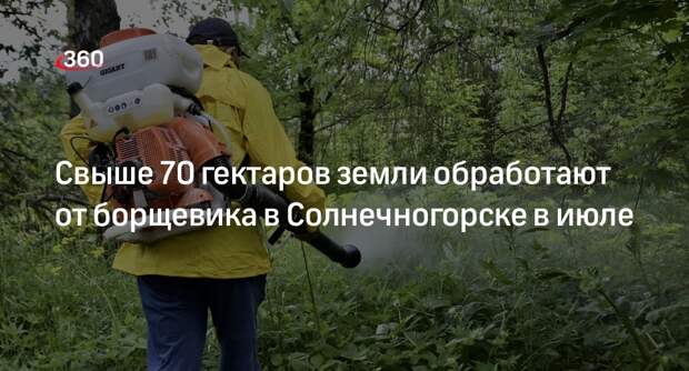 Свыше 70 гектаров земли обработают от борщевика в Солнечногорске в июле
