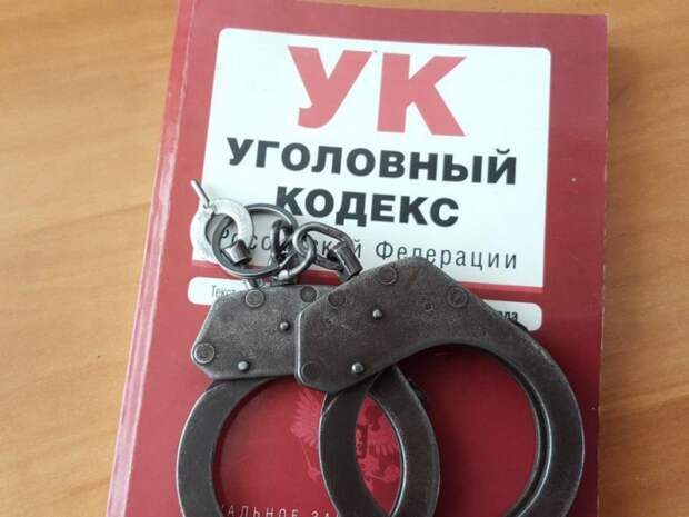 Наручники/фото: mos.ru