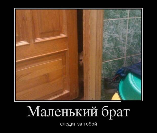 1478073684_08