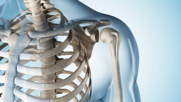 Тульские физики разработали технологию производства сплава, схожего с человеческой костью