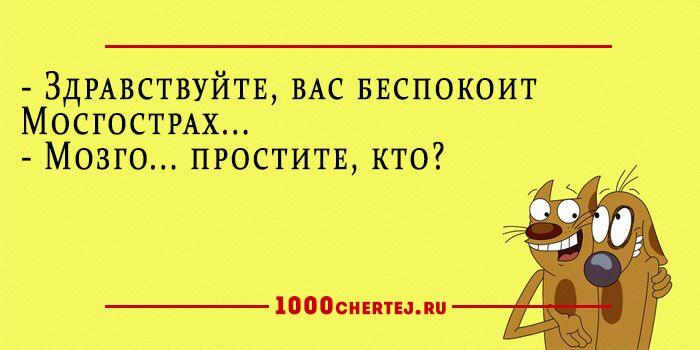 25 добродушных анекдотов в карточках, заряжающие словно батарейки.