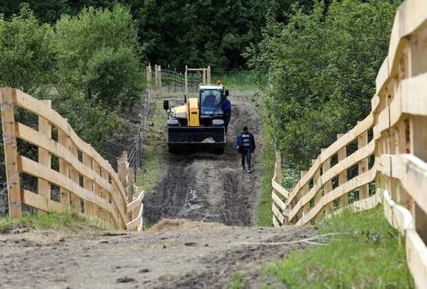 Правительство ввело дополнительную квоту на экспорт зерна в 5 млн тонн
