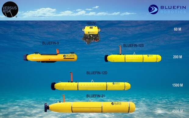 Poster-Bluefin-Final-WEB