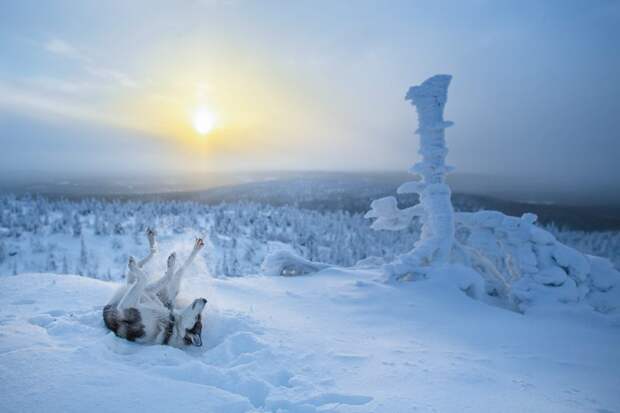 northern-lights-photography-finland-40-584e5d3e9dae2__880