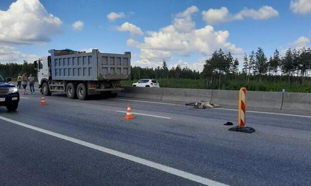 «Прошу помочь и придать огласке этот страшный случай»: водитель грузовика, сбивший пенсионерку, может избежать наказания