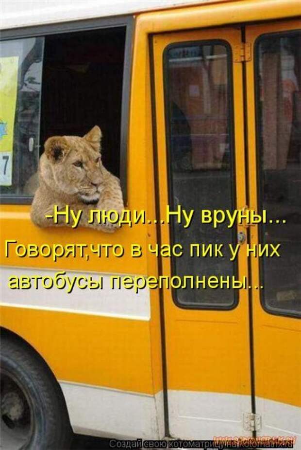 Уфф!!! Ну наконец-то! Котоматрицы великолепные, каждая с улыбкой и хорошим настроением!