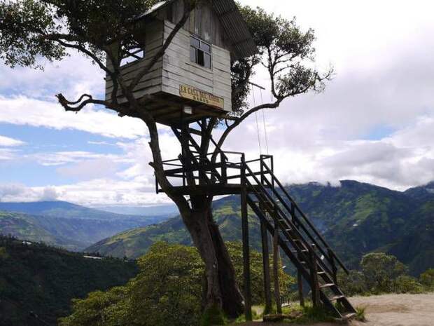 Casa Del Arbol — необычные качели над пропастью экстрим, развлечения