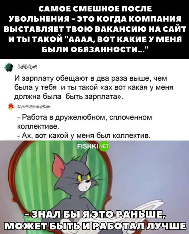 Когда находишь свою вакансию после увольнения Когда находишь свою вакансию после увольнения