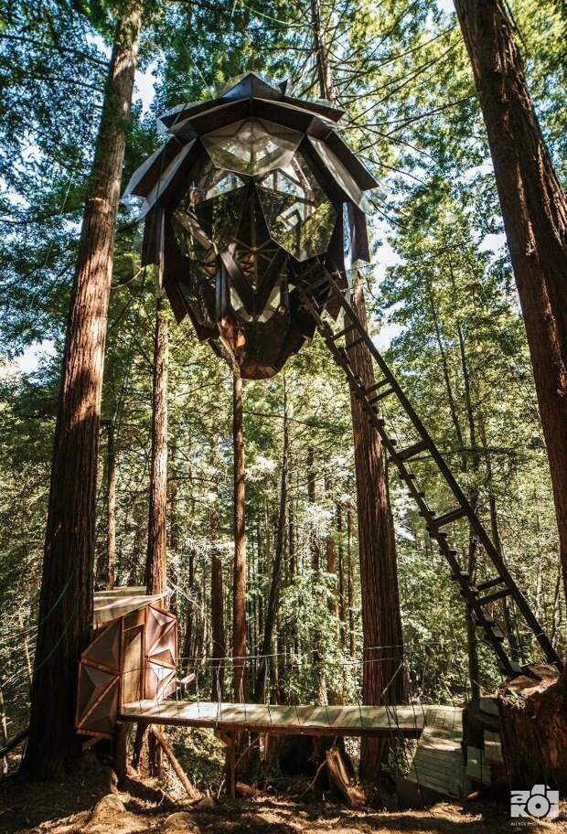 Удивительный домик на дереве от американского дизайнера