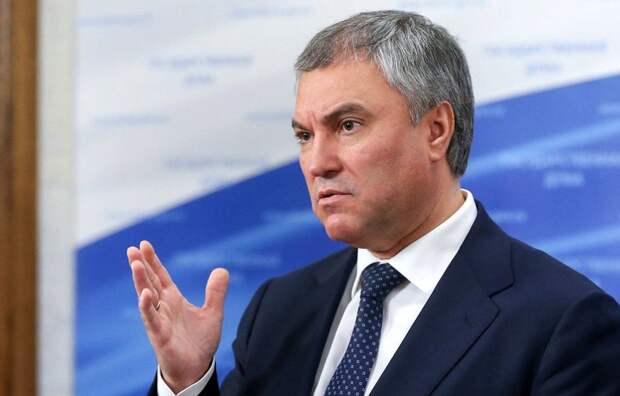 Володин призвал уволиться всех бюджетников, критикующих военную операцию на Украине