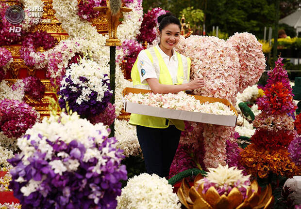 Выставка цветов и ландшафтного дизайна Chelsea Flower Show 2014