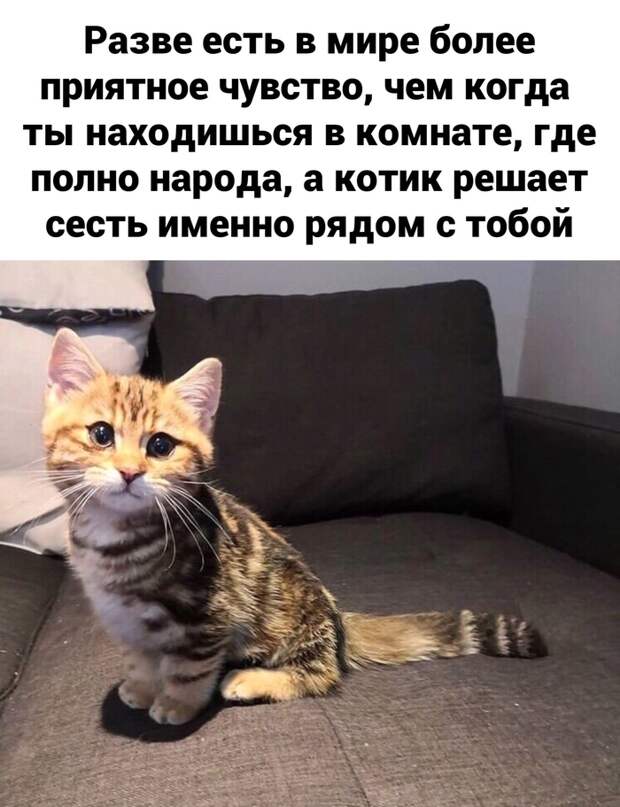 Лучшее чувство