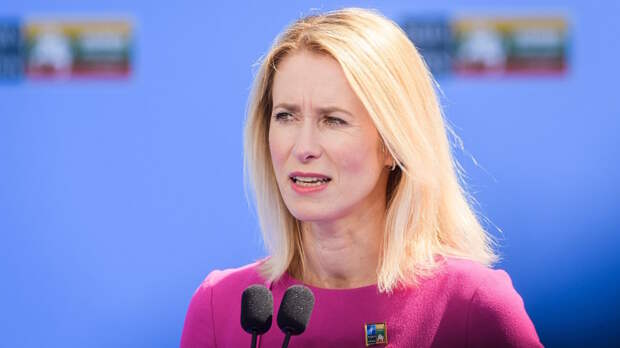 В Словакии высказались за отстранение Каллас с поста главы евродипломатии