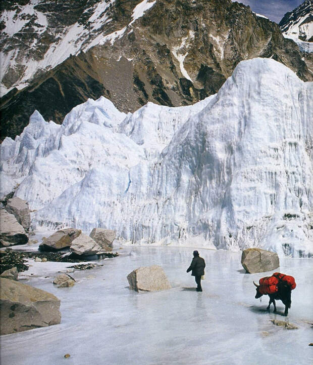 fotografii National Geographic 50