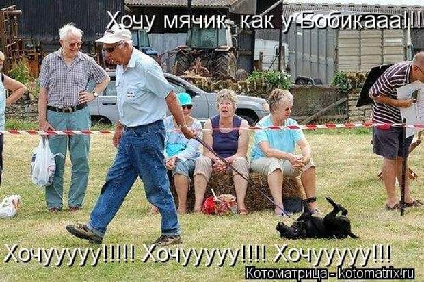 Воскресная котоматрица (16 шт)