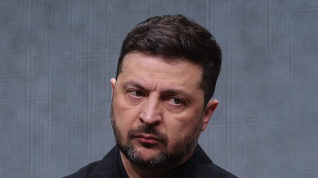 Дотком: Зеленскому стоило принять предложение России о заключении мира