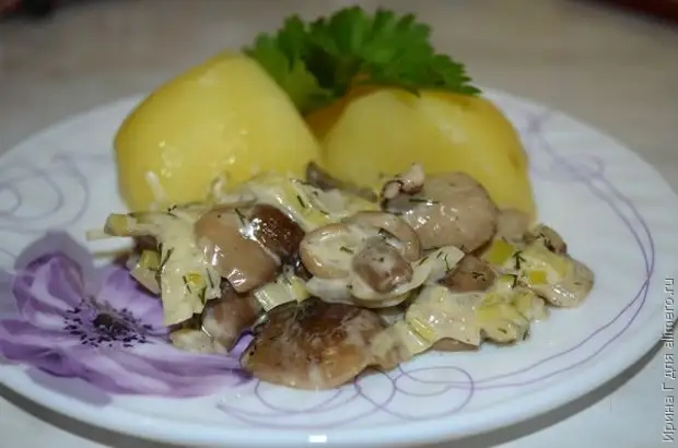 Грибы тушеные в сметане. Опята тушеные в сметане. Вёшенки жареные с луком в сметане. Отбивные из сыроежек. Опята тушеные в сметане.