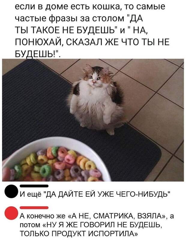 Комментарии и картинки из соцсетей