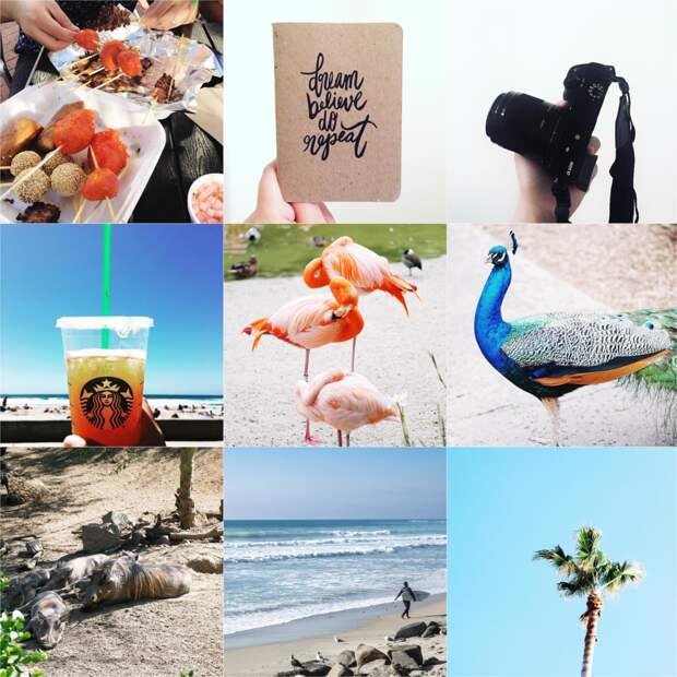 Insta Lately: Vol. 16 | SCATTERBRAIN